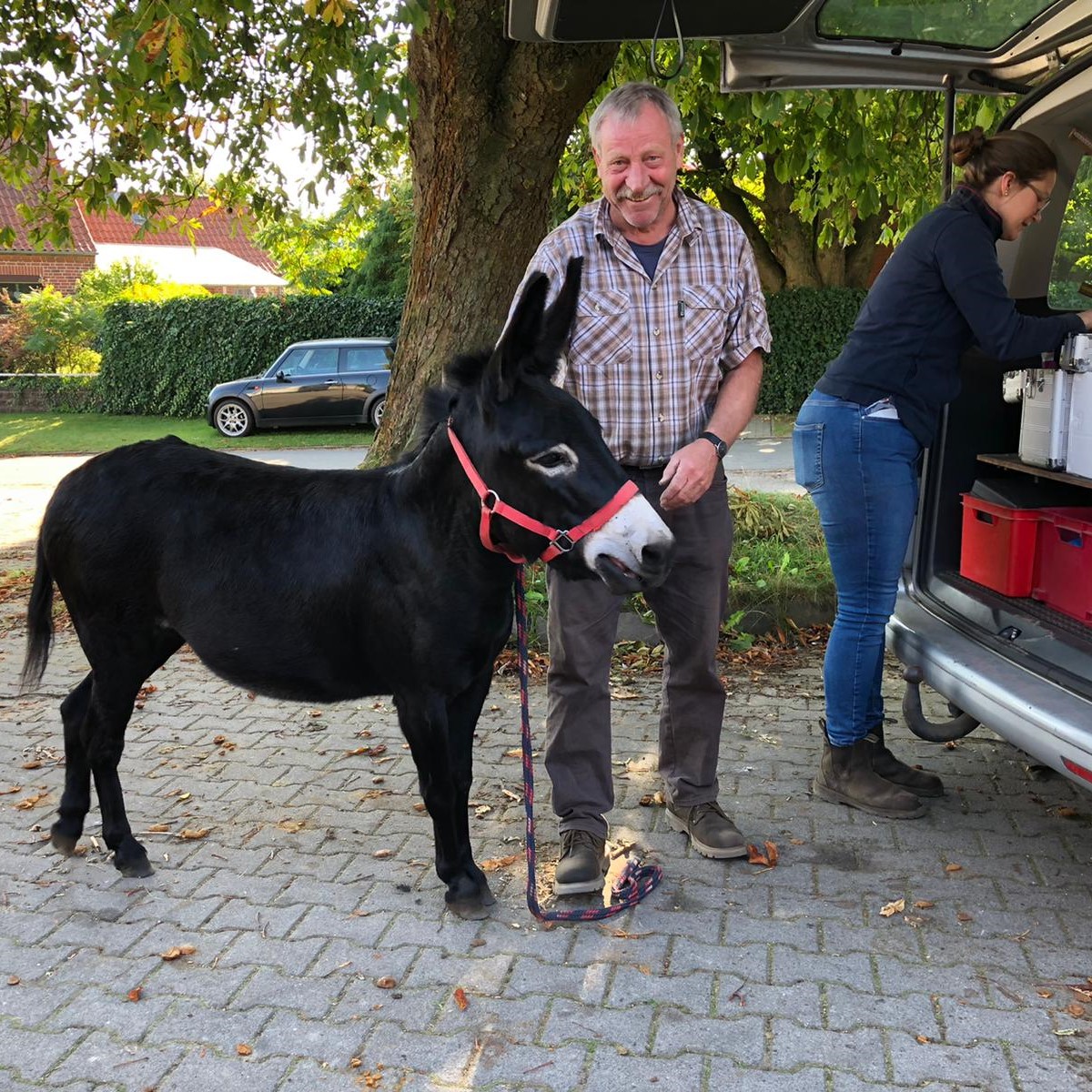 199-02-Elsa beim Chippen-01