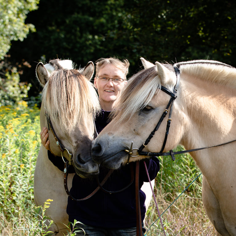 links Deckhengst Da Vinci und rechts Klosterhofs Ronssen Baron genannt Casper 201 18 01 Jeanne