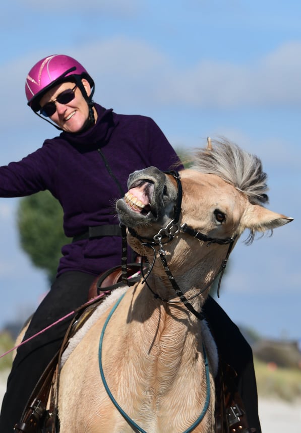 Klosterhofs Angel 201 18 03 Jeanne