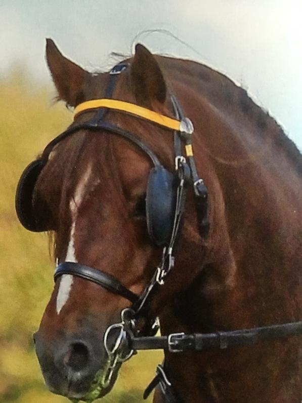 Ferings Wikinger 201 61 01