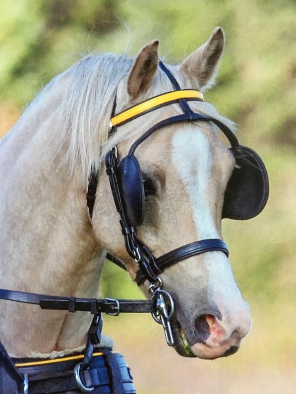 Ferings Sunskiin 201 61 02