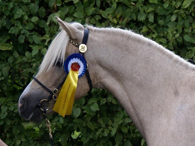 Ferings Belinda 201 61 04