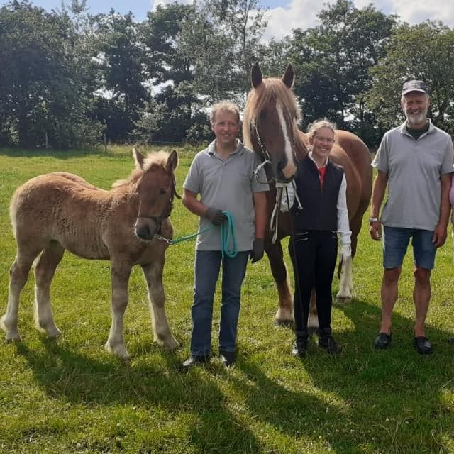 Pferde und Züchterköpfe 201 g 37