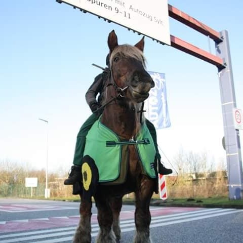Merlin als Trecker bei einer Demonstration 201 g 43