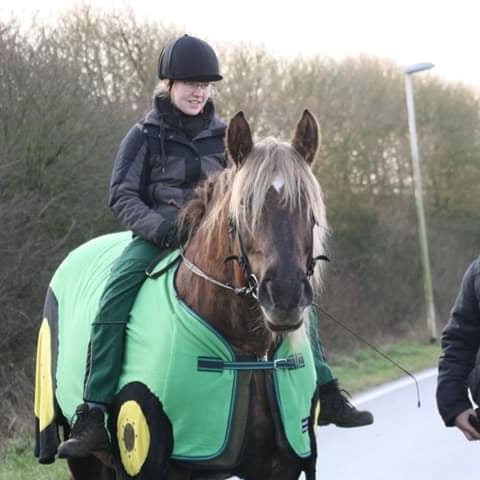 Merlin als Trecker bei einer Demonstration 201 g 44