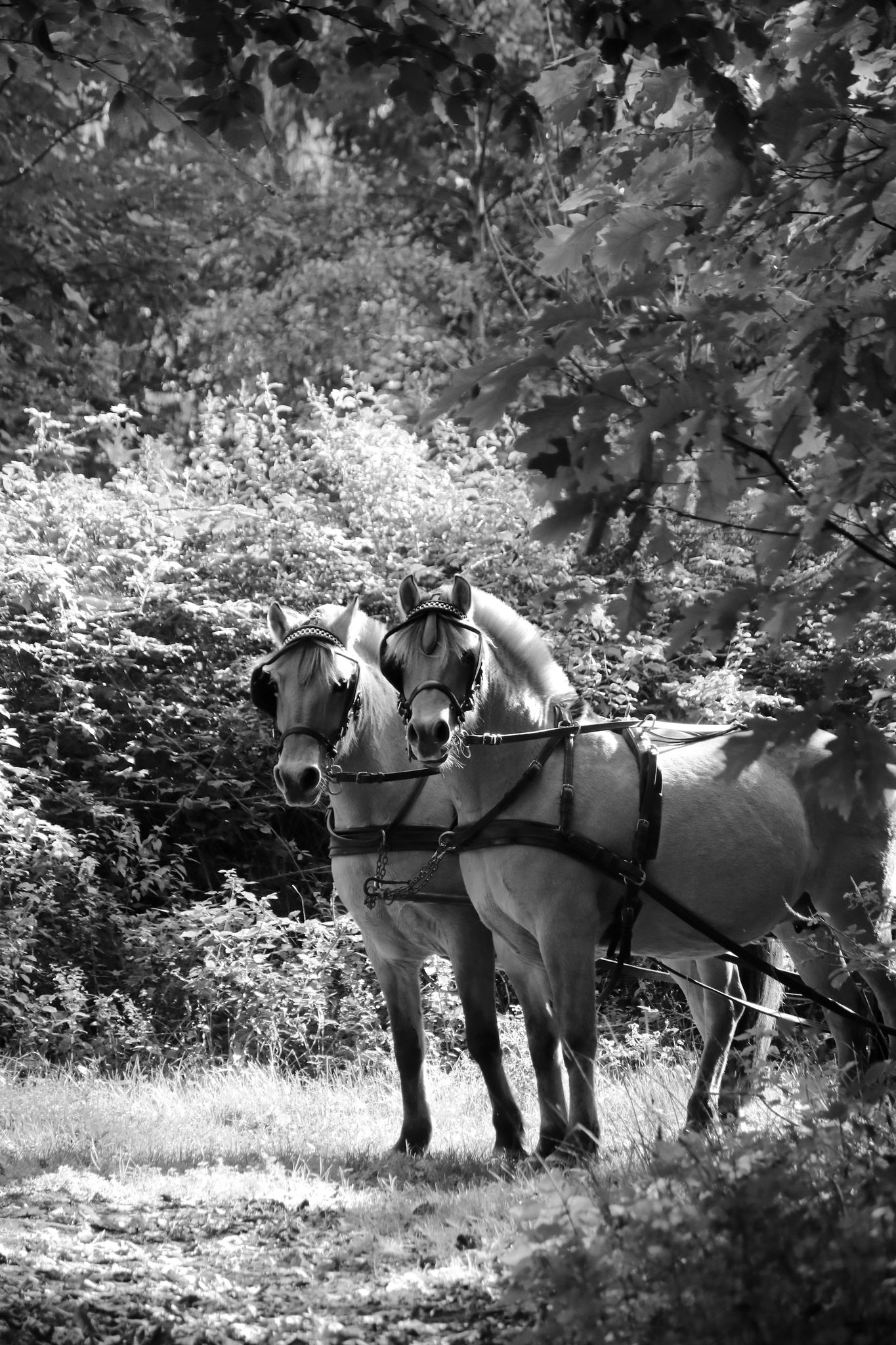 205-06-127014777 371309223975409 4802207871559339549 n