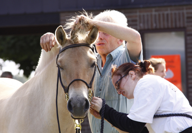 im Ponypark Padenstedt im Jahr 2010 207 Padenstedt 2010 a