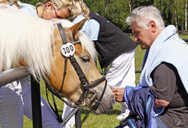 im Ponypark Padenstedt im Jahr 2010 207 Padenstedt 2010 c