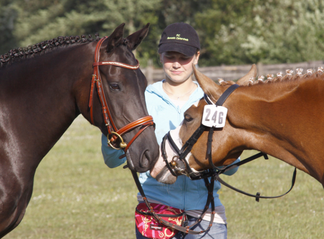 im Ponypark Padenstedt im Jahr 2011 207 Padenstedt 2011 c