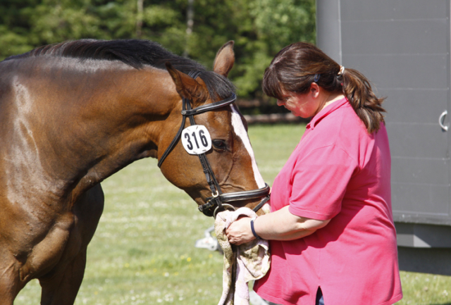 Im Ponypark Padenstedt im Jahr 2011 207 Padenstedt 2011 d