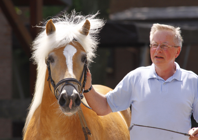 Ponypark Padenstedt 2013 207 Padenstedt 2013 a
