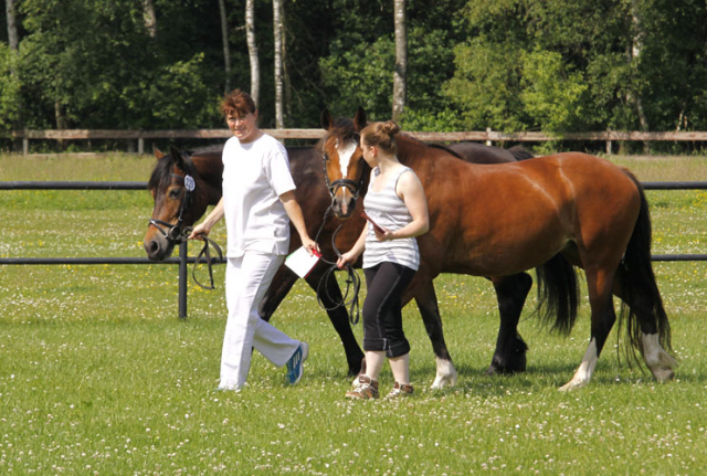 Ponypark Padenstedt 2013 207 Padenstedt 2013 b