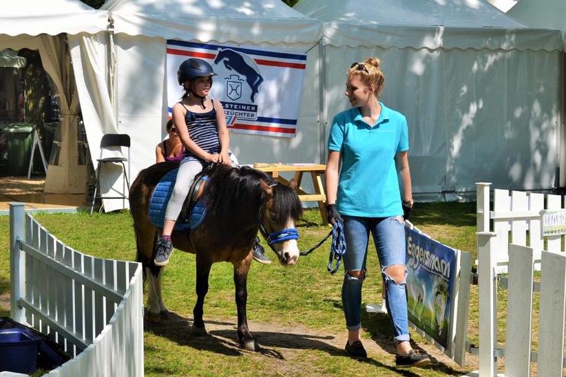 Ponyland Golden Girl 210 01 02