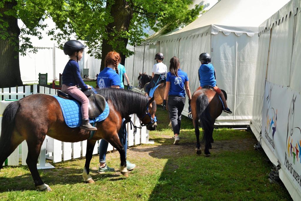 Ponyland Gaiety 210 01 03