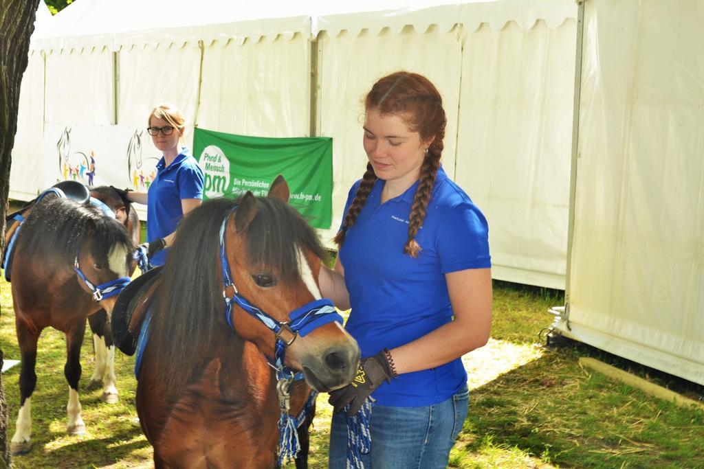 Ponyland Gaiety 210 01 04