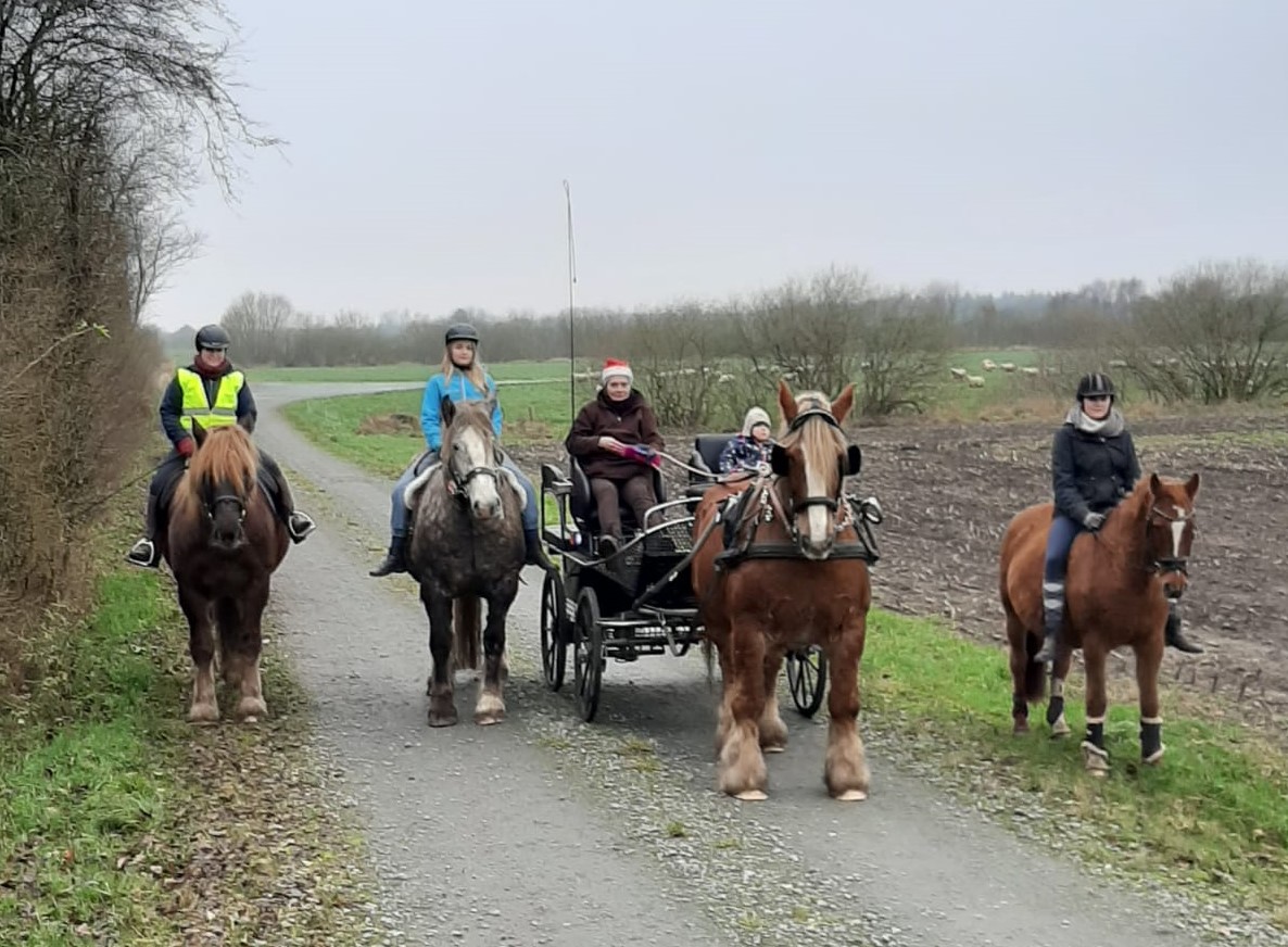Am 3. Advent in diesem Jahr 216 01 bild vom dritten advent diesen jahres