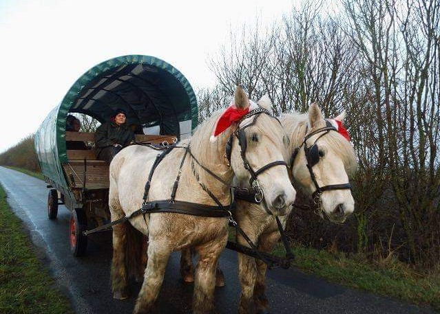 Nikolausbild 216 02 Nikolausbild