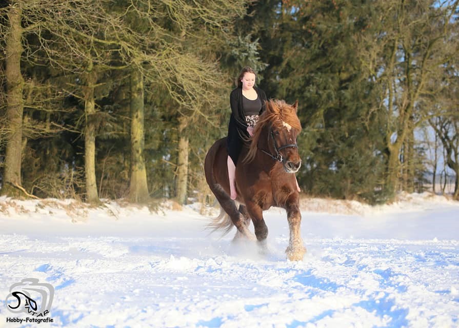 Eddy 216 13 eddyschnee2