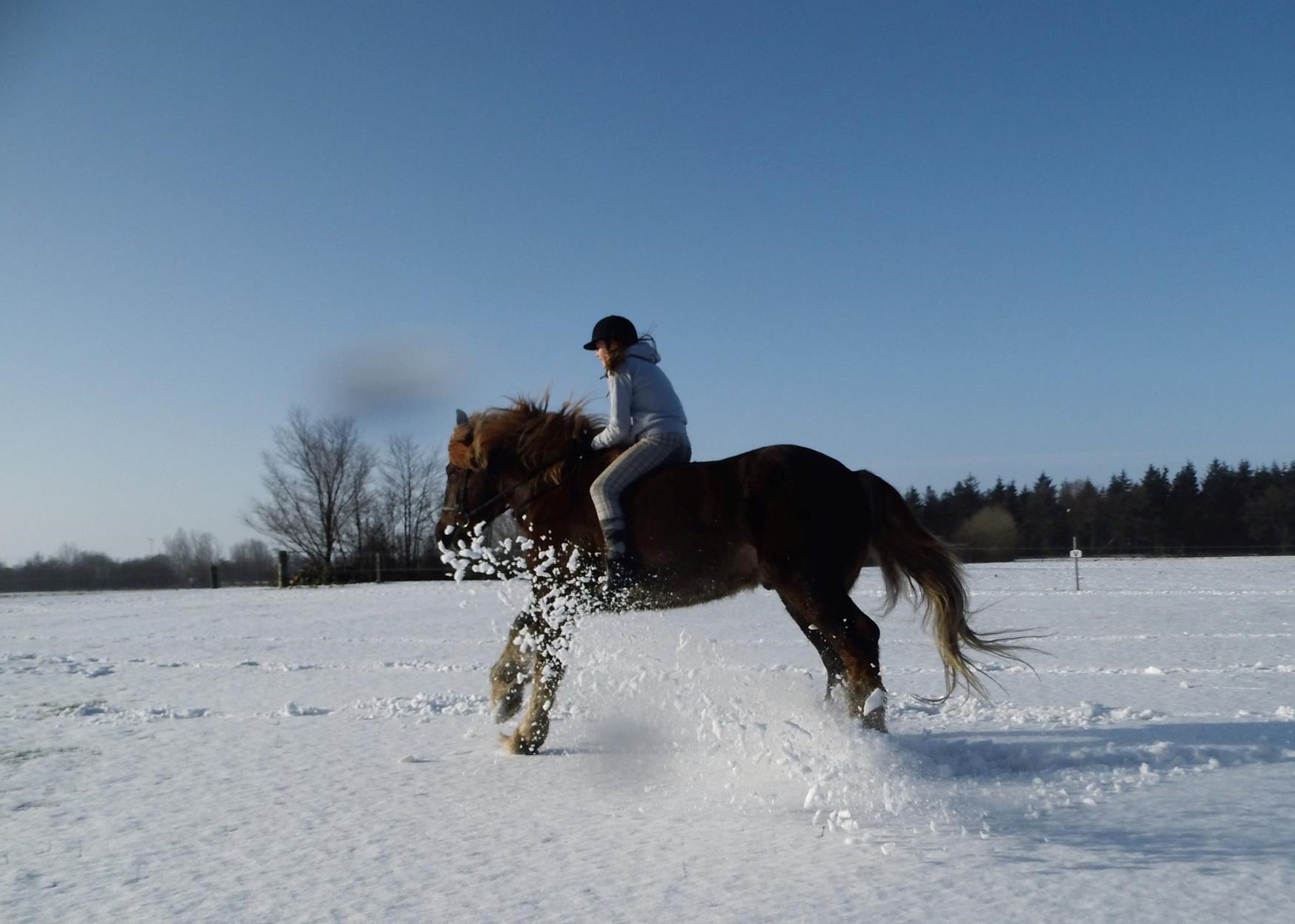 Eddy 216 14 eddyschnee3