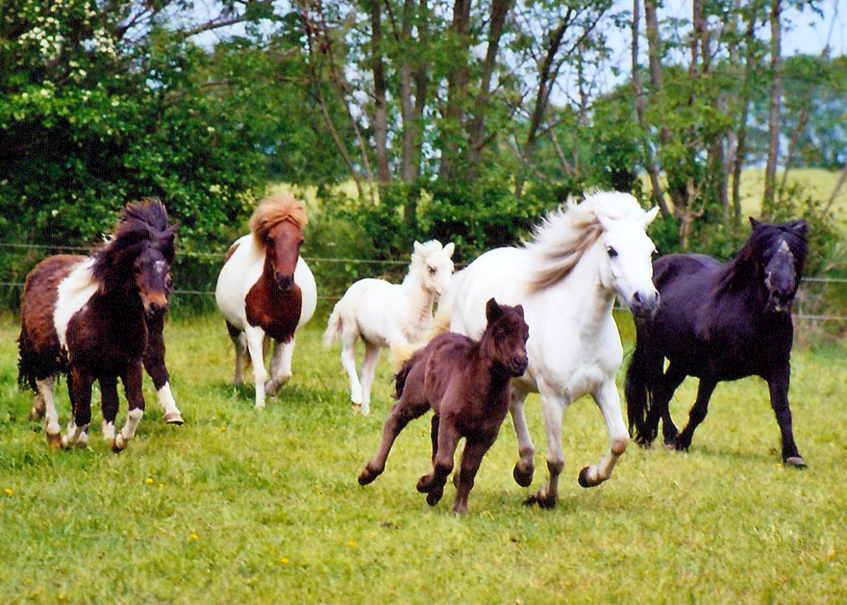 03-Isabell grammdorf 2007