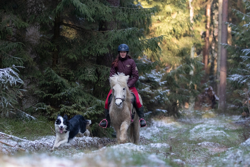 07-RohLoh Pom Web 18