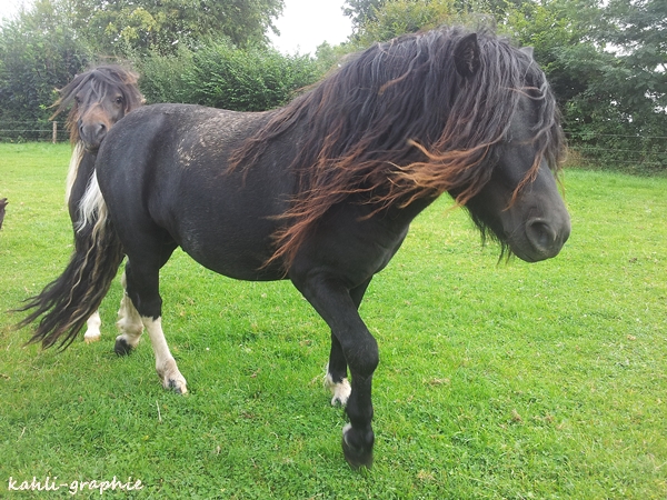 104-01 September 2012