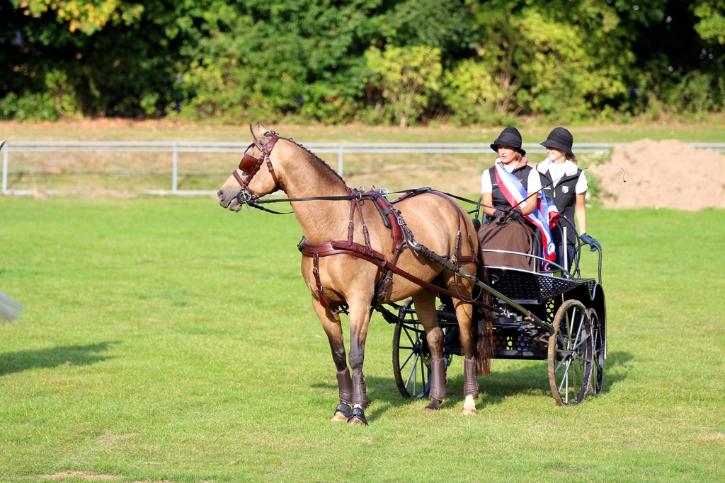 11-3-Sölrings Cassandra 16092430