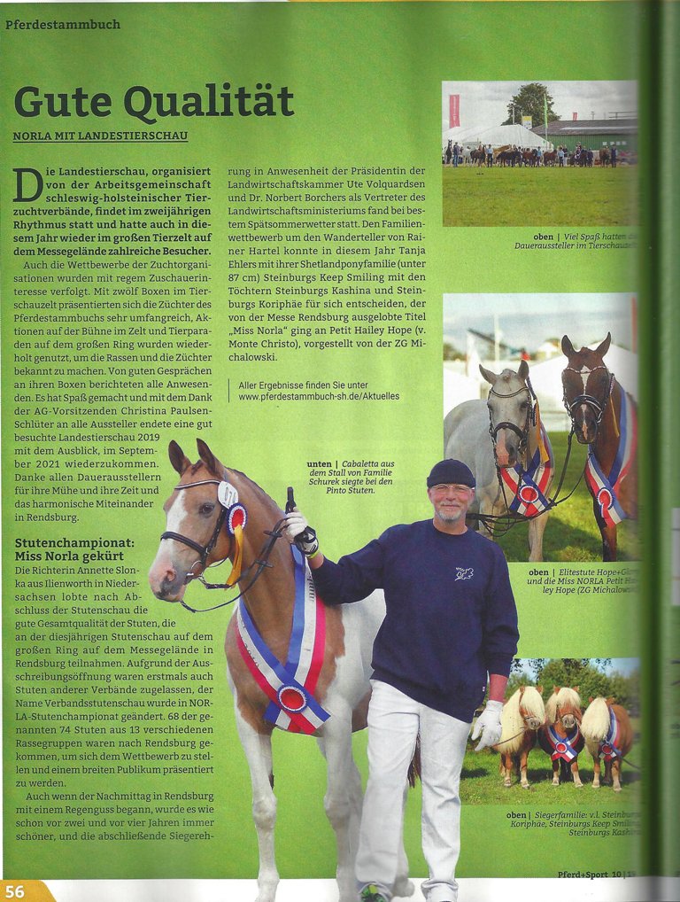 11-Pferd  Sport Ausgabe Oktober 2019