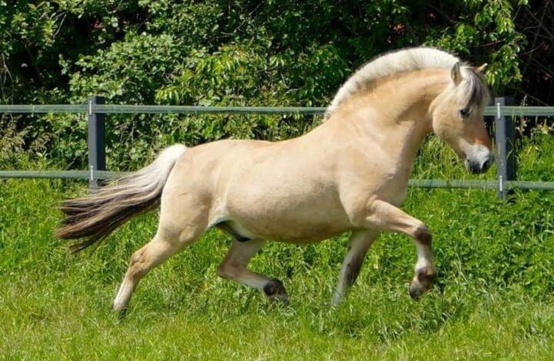 119-02-Ricardo-Baron