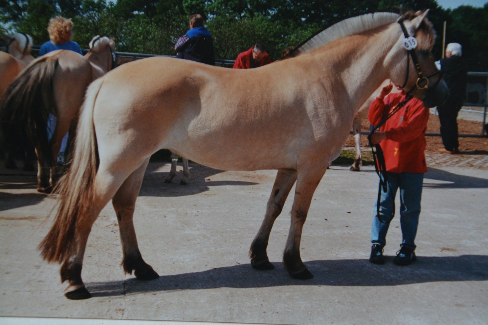 119-03-Jette Baroness Monika Lahann