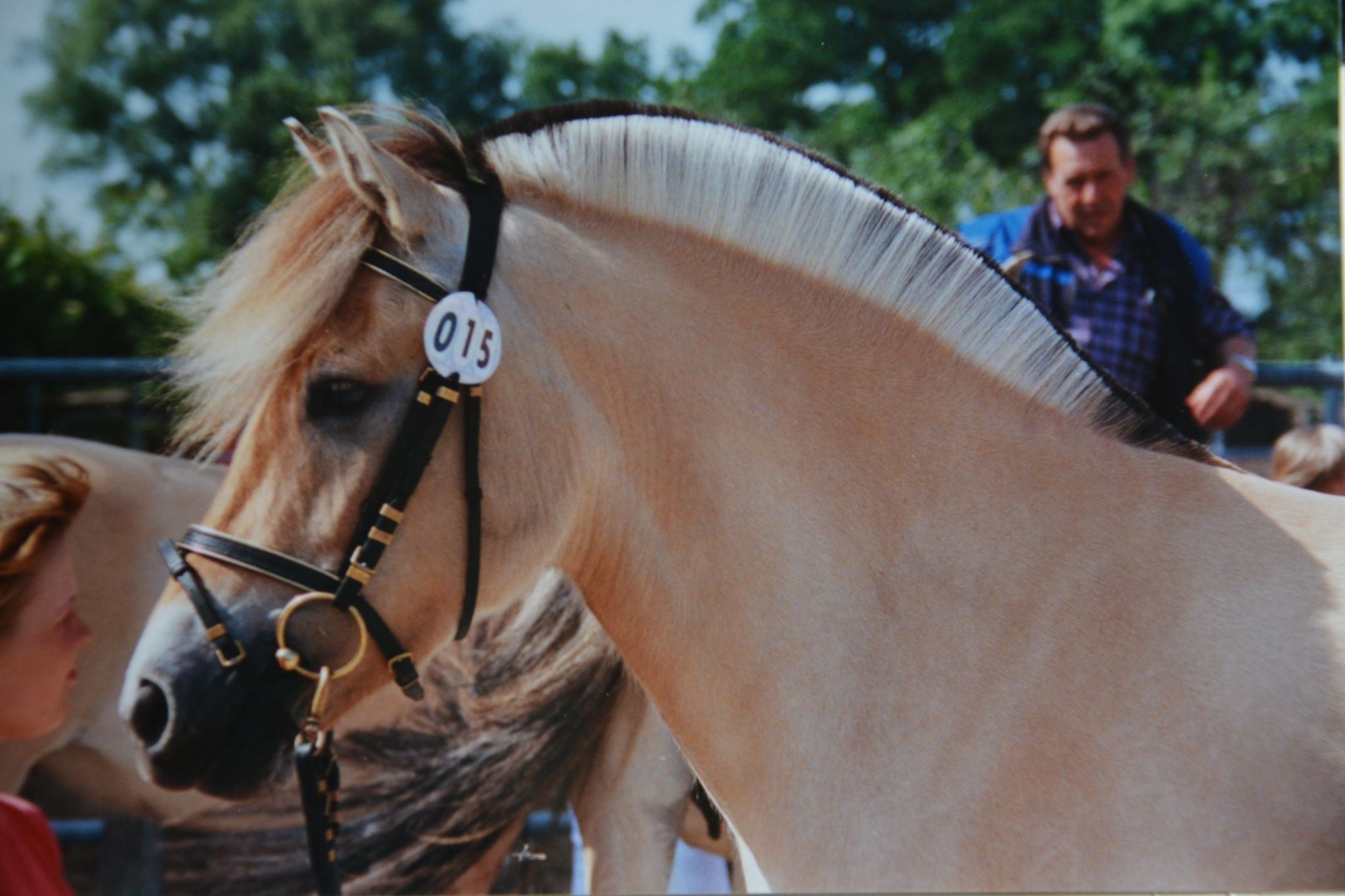 119-04-Jette- Monika Lahann