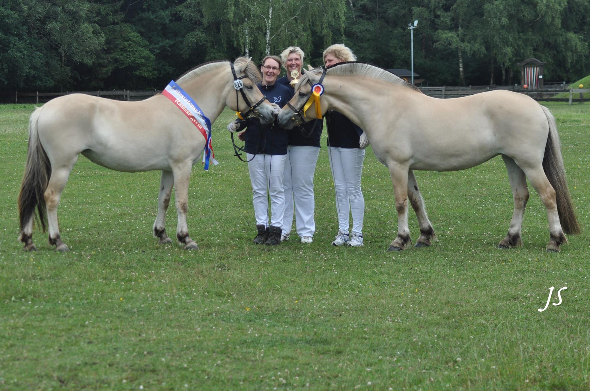 119-14-Angel und Jonna Baroness 2017