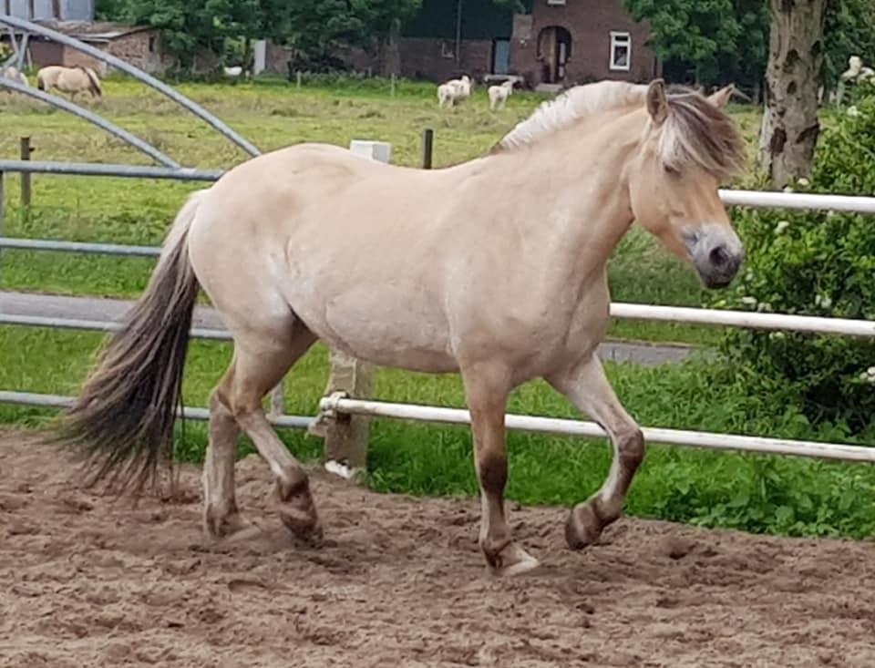 119-16-Klosterhofs Alessja Baroness