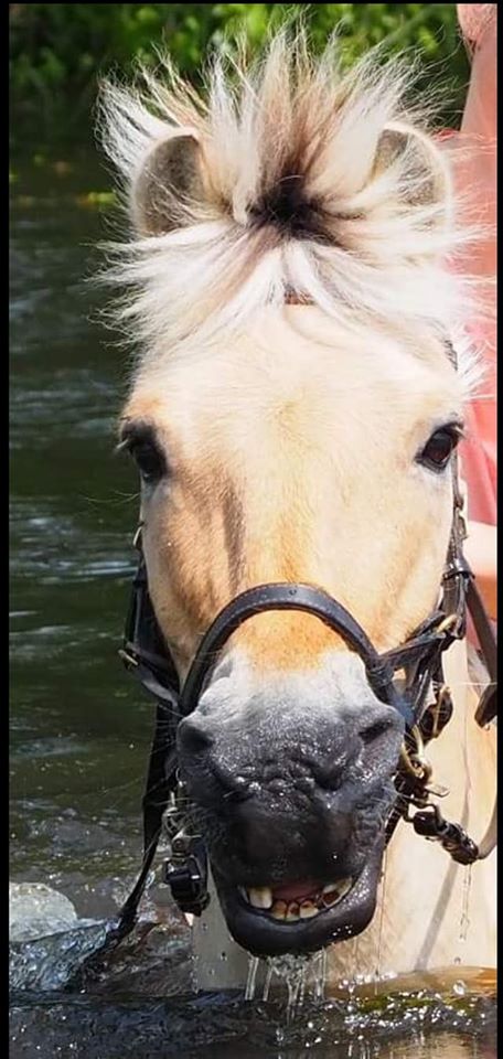 119-20-Noch jemand der ein Vierteljahrhundert in 2020 feiern darf Rascan Baron V Roni Baron M Jessica 10 05