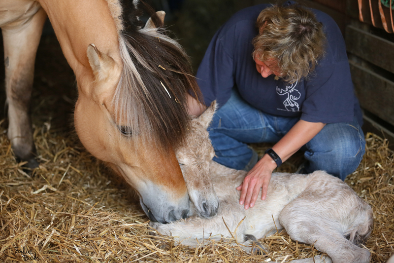 153-07-Jola 14.05.17