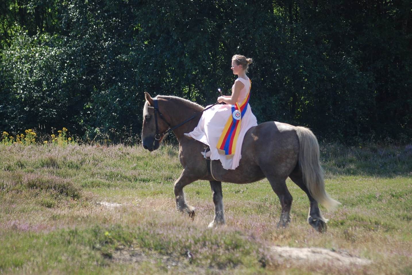 157-02-Gesche Petersen