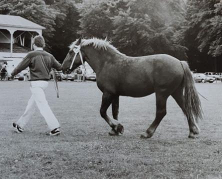 158-06-Ammer Segeberg 1885