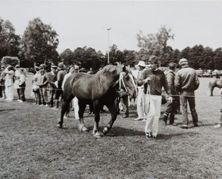 158-07-Ammer Stutenschau Segeberg 1985