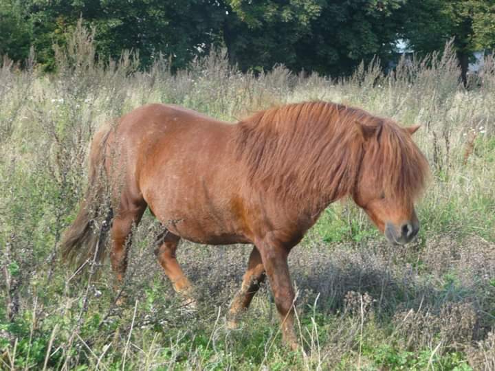 30-IMG 1586154825930