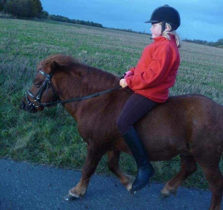 30-IMG 1586154836388