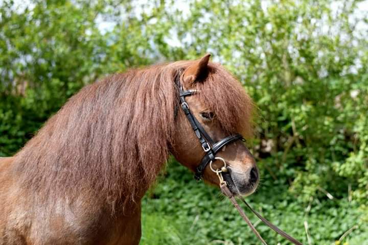 30-IMG 1586154885697