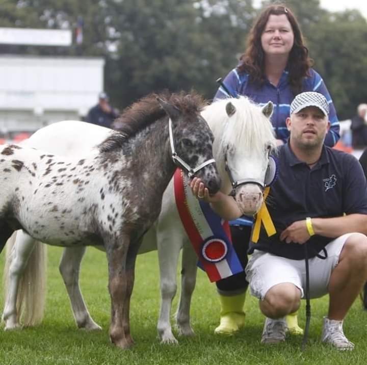 30-IMG 1586154981762