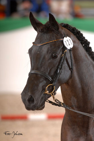 47-Grenzhoehes Hot Spot