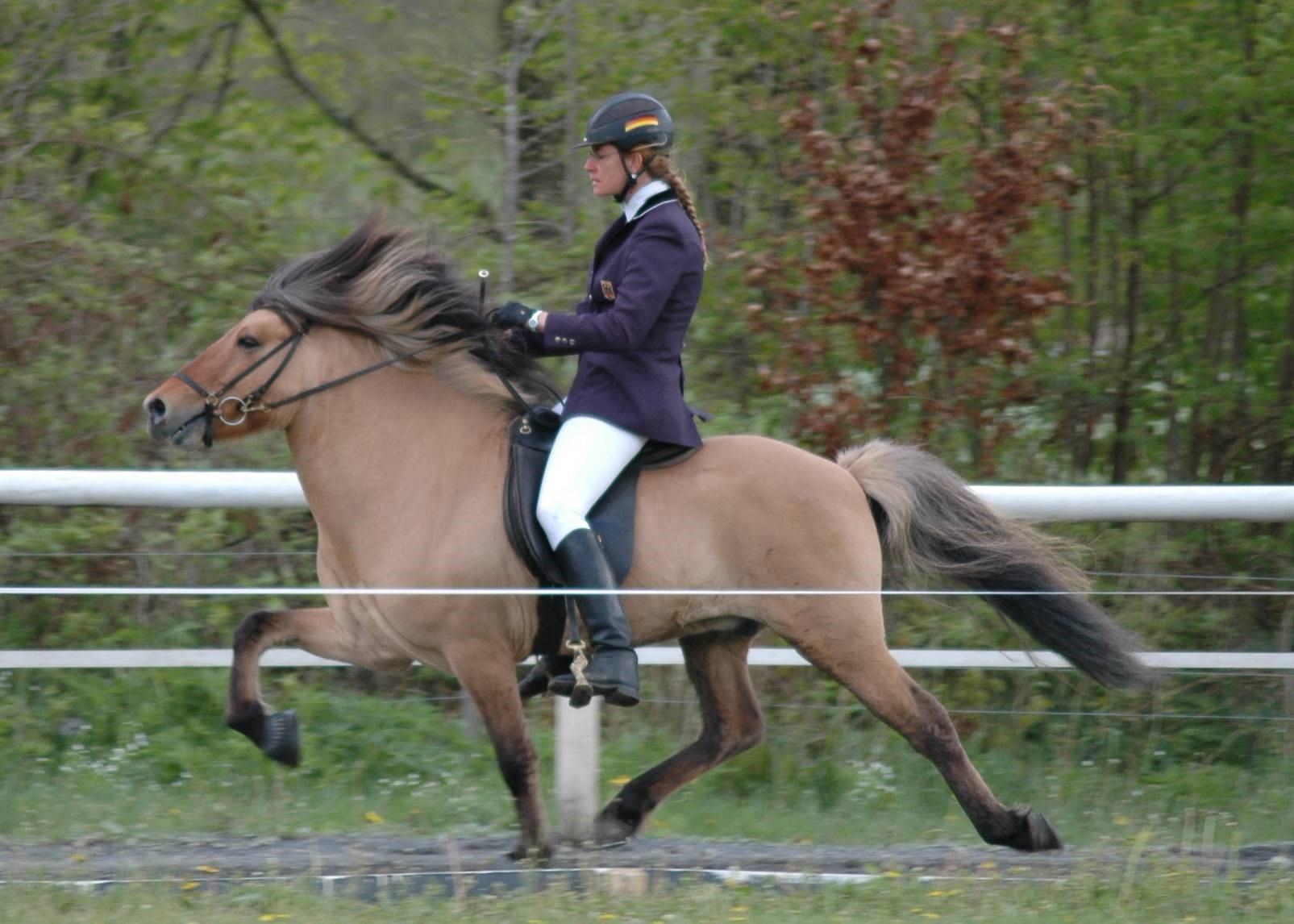 55-Gustitölt3 Fizo Mai2005