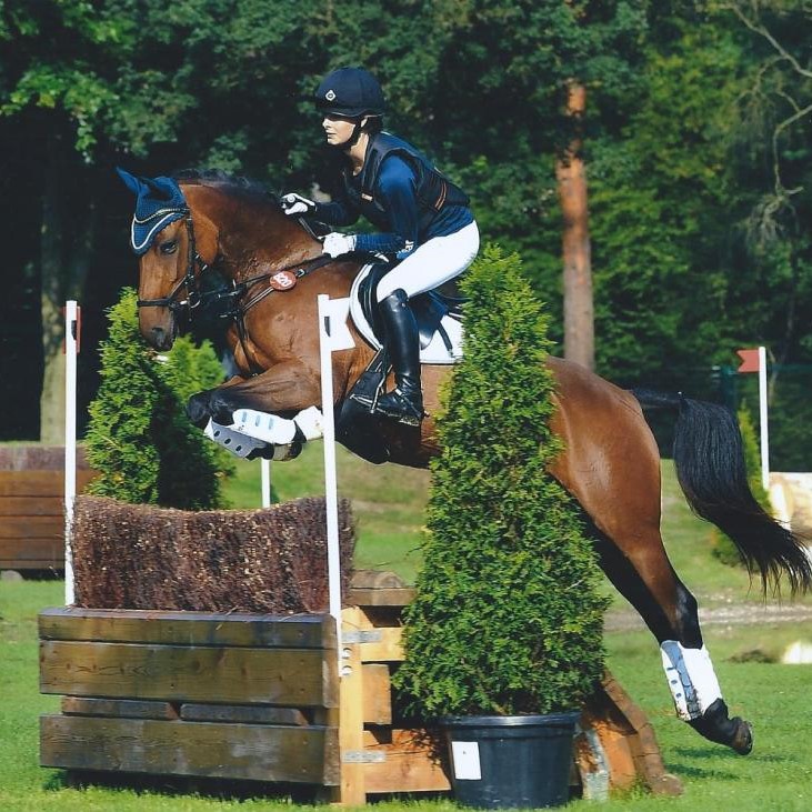 65-06-Springdelight in Warendorf 2017