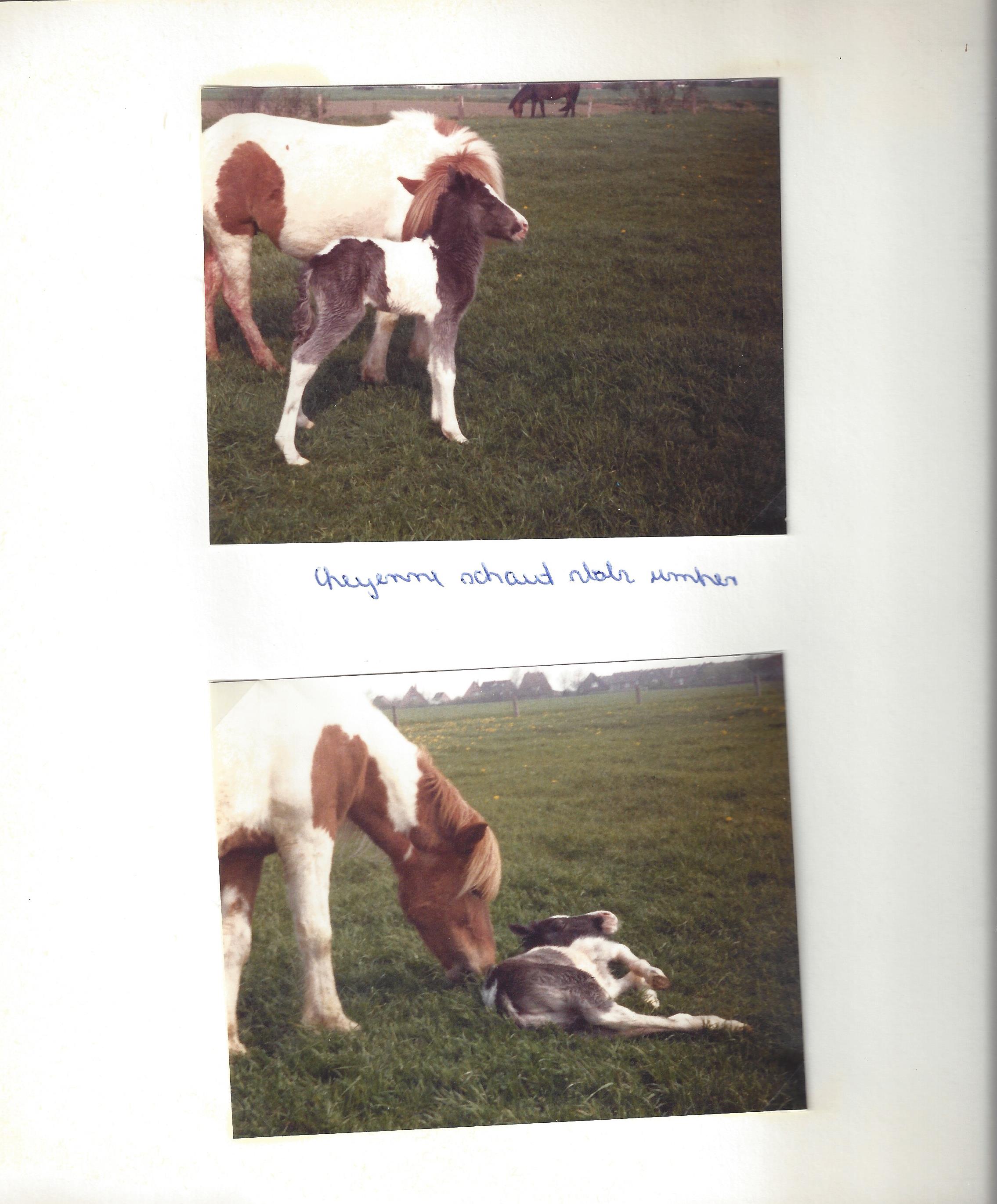 66-01-Cheyenne und Maria am Tag der Geburt 1981