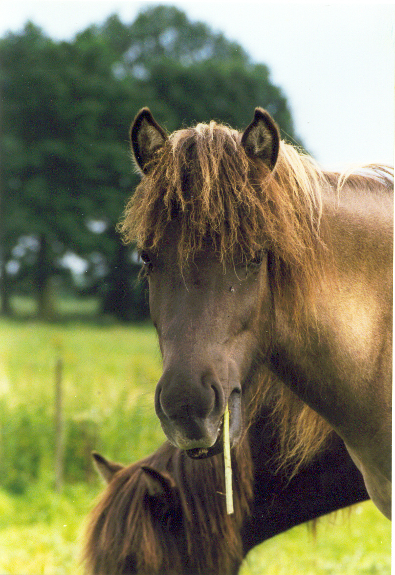 72-03-ohne Worte 1998