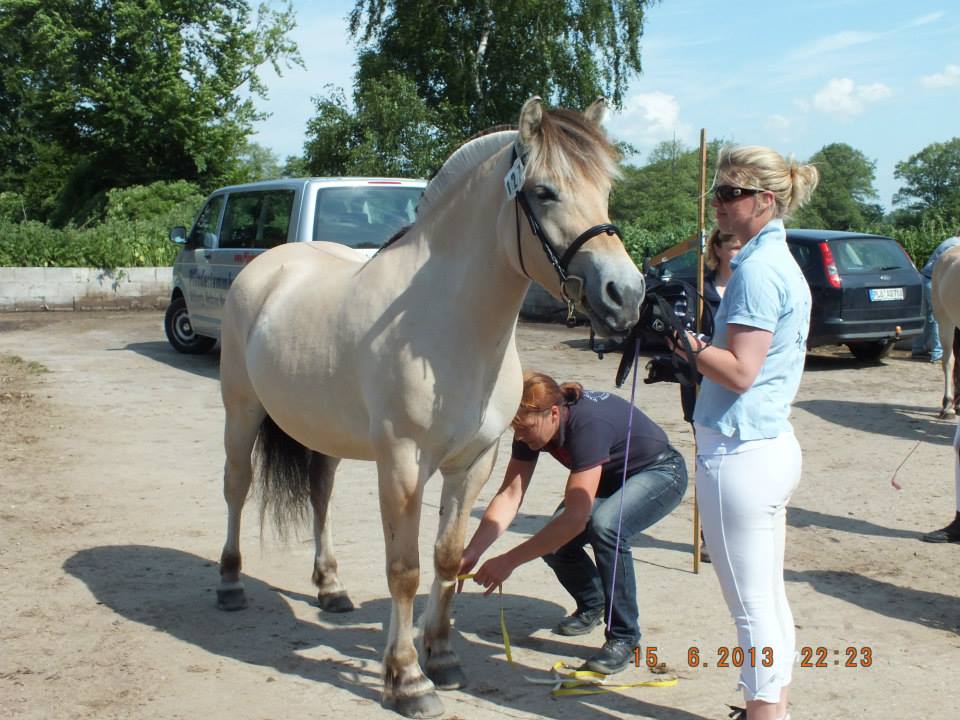76-2013-06-15-Meira Röhrbein 20