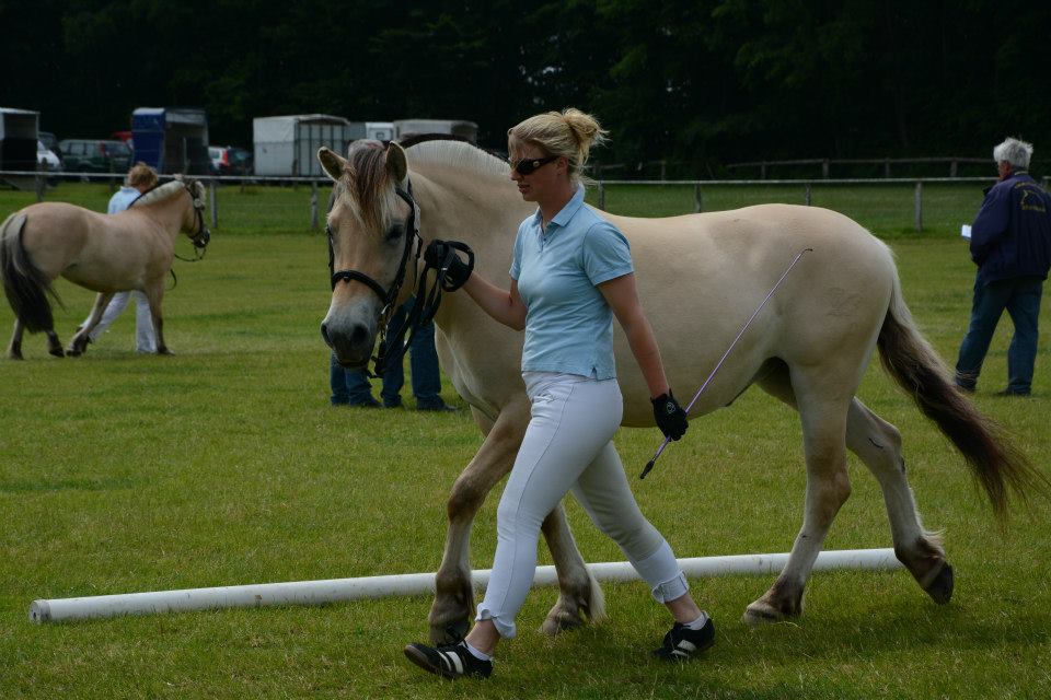 76-2013-06-15-Meira Stuteneintragung