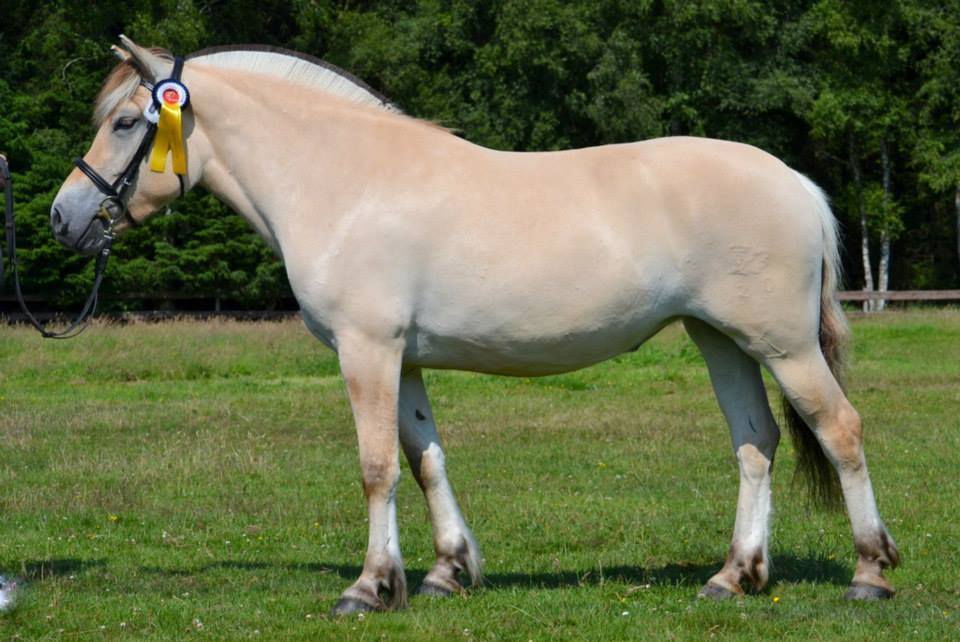 76-2013-07-06 Meira Elitestutenschau